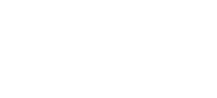 Branding e identidad corporativa de Camaleón Studio